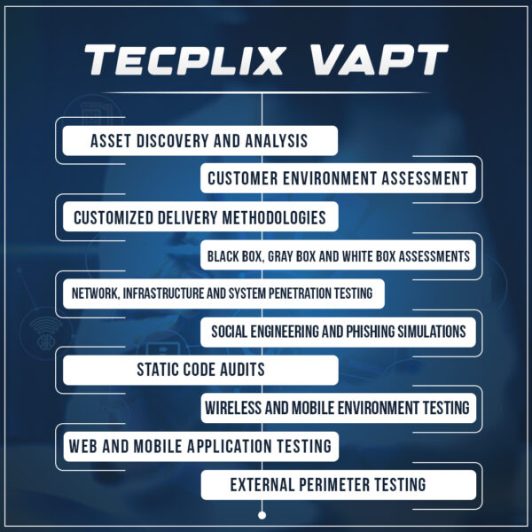 Tecplix VAPT Services